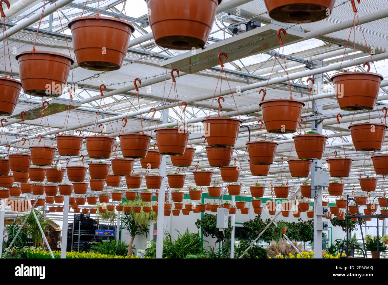 Modern greenhouse. Greenhouse with glass ceiling. Ecological flower