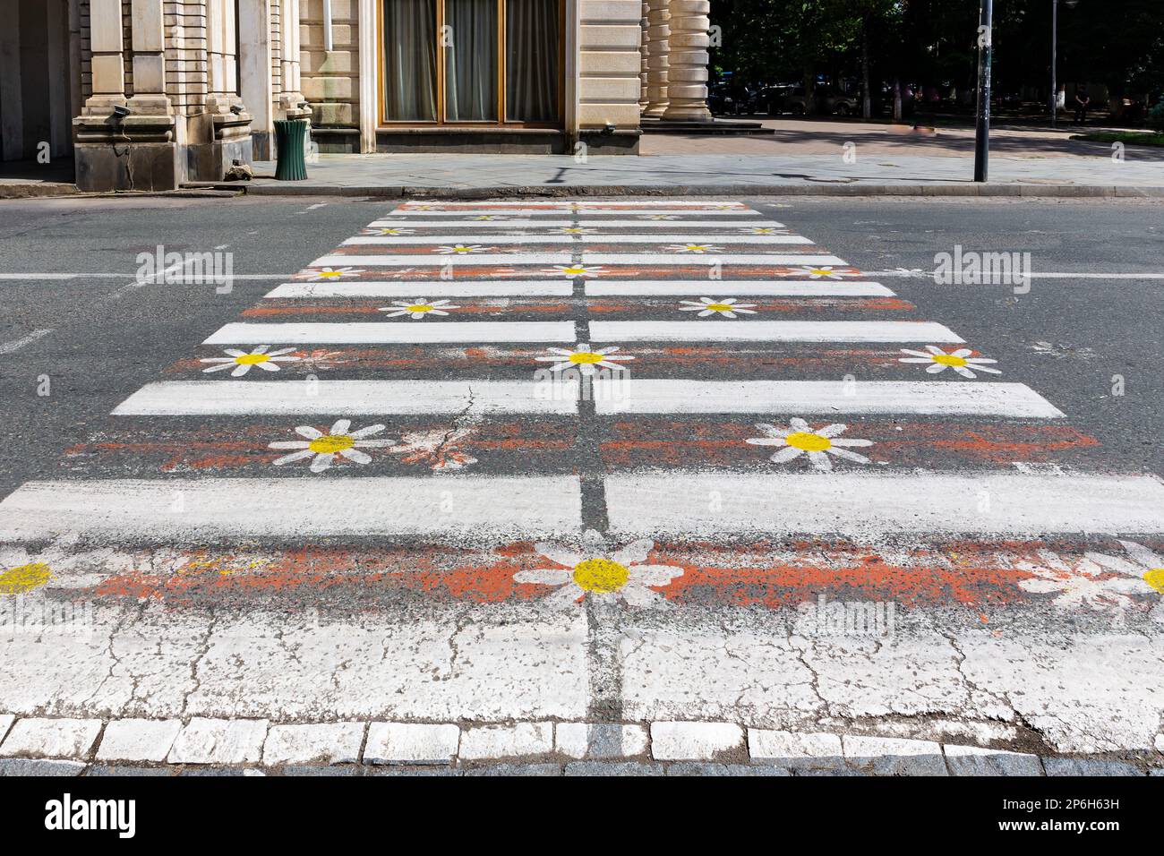 Colorful pedestrian crossing with daisy flowers painted on the street