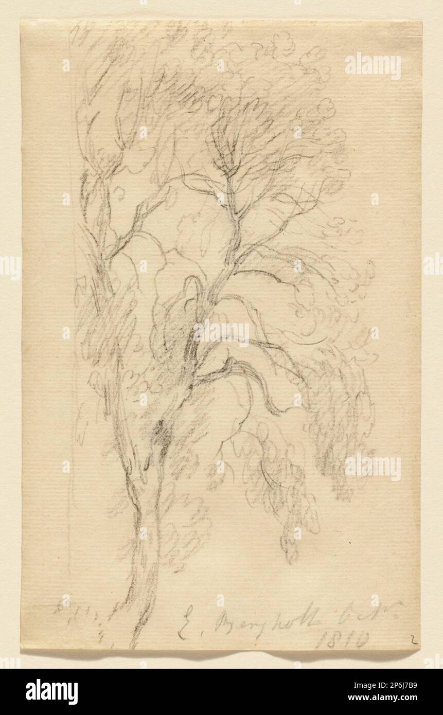John Constable, Study of an Ash Tree, East Bergholt, October 1810 ...