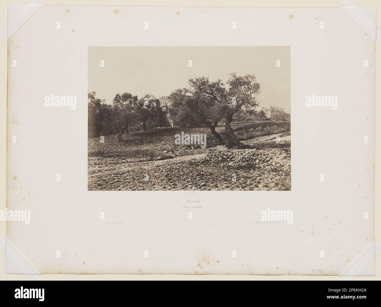 Auguste Salzmann, Jerusalem, Herod's Gate, with Trees, 1854, salt print