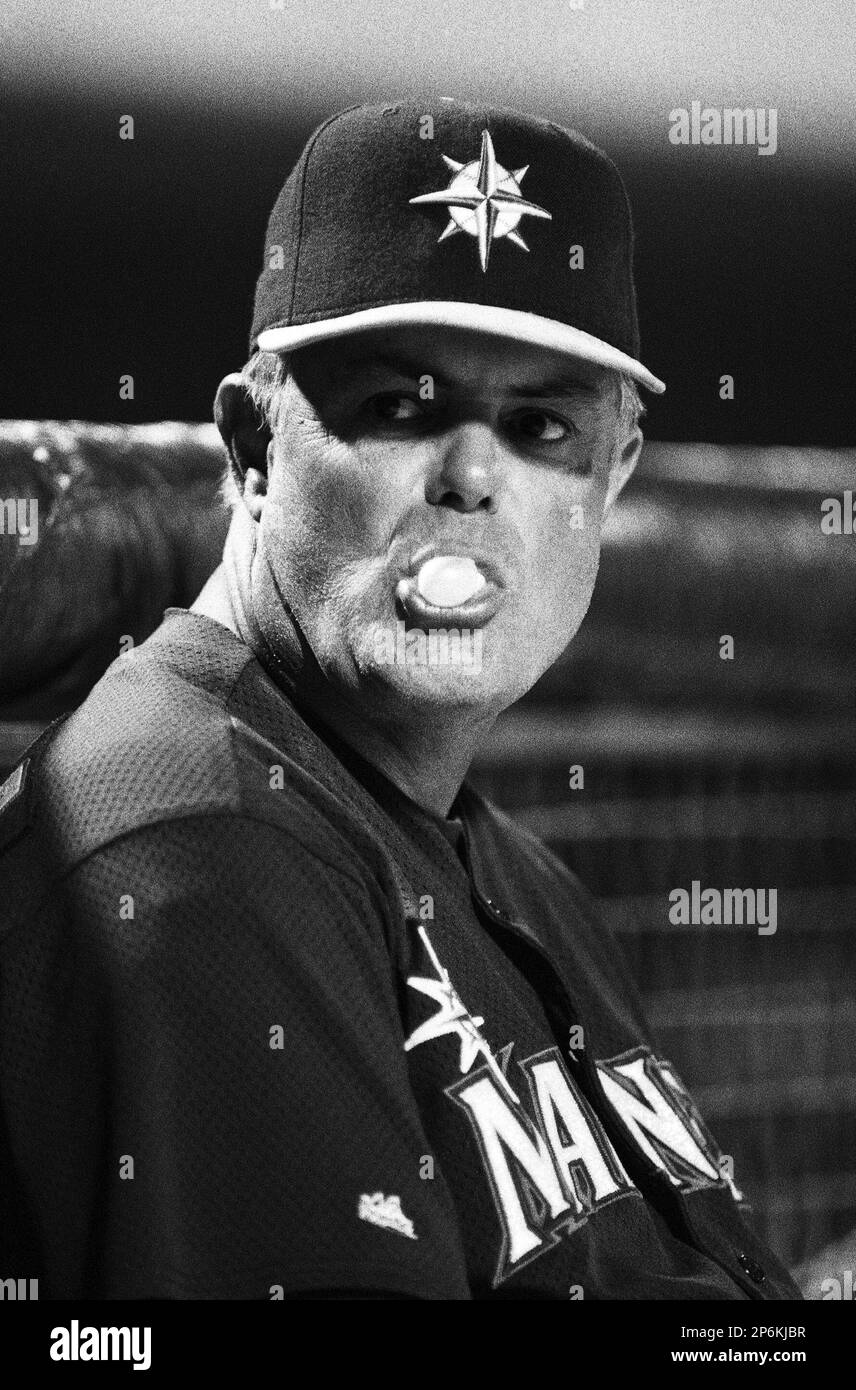 Jay Buhner of the Seattle Mariners during a spring training game at Peoria  Sports Complex in Peoria, Arizona during the 1997 season.(Larry Goren/Four  Seam Images via AP Images Stock Photo - Alamy