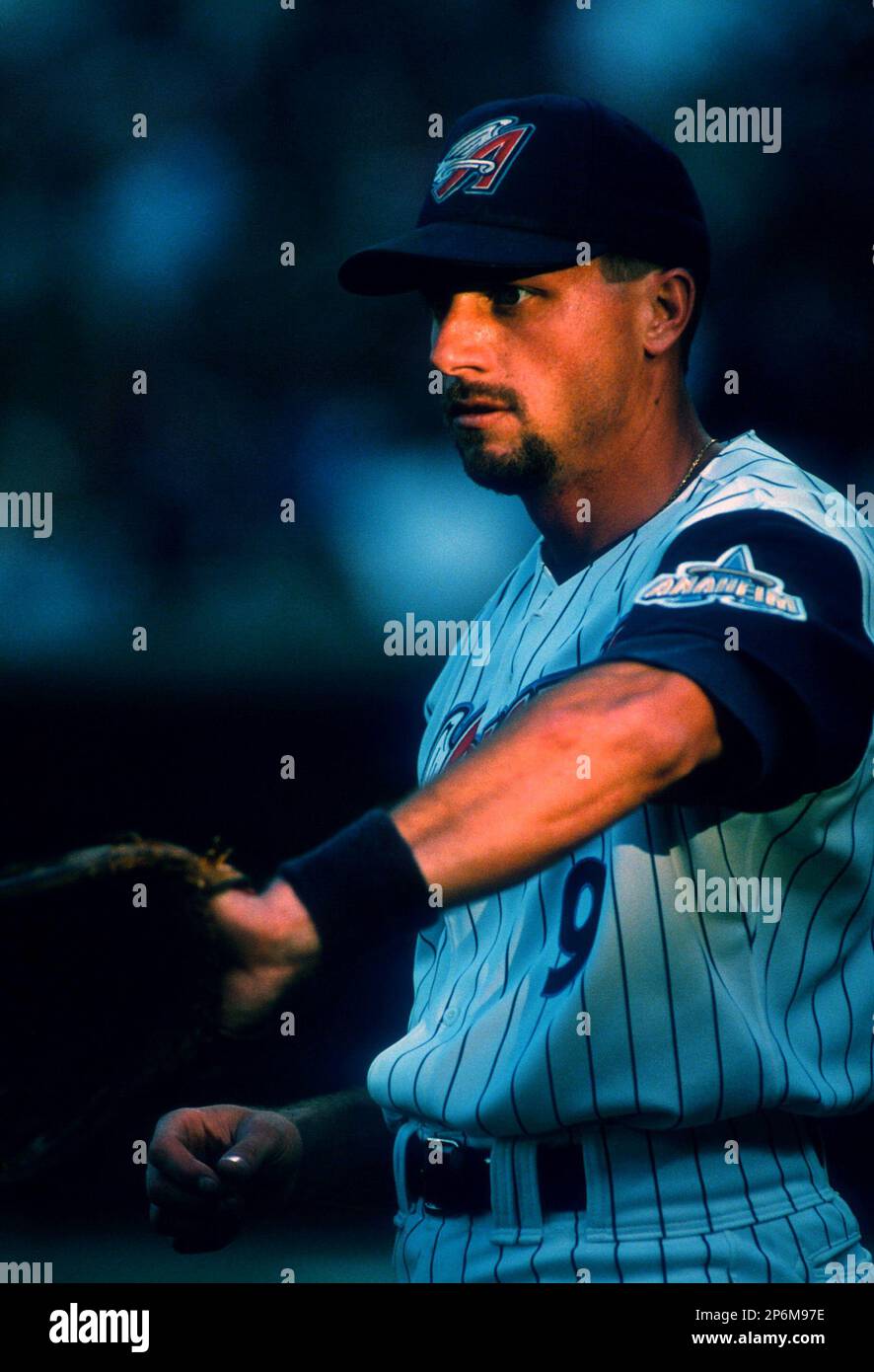 Gary DiSarcina of the Anaheim Angels during a game at Anaheim Stadium in  Anaheim, California during the 1997 season.(Larry Goren/Four Seam Images  via AP Images Stock Photo - Alamy