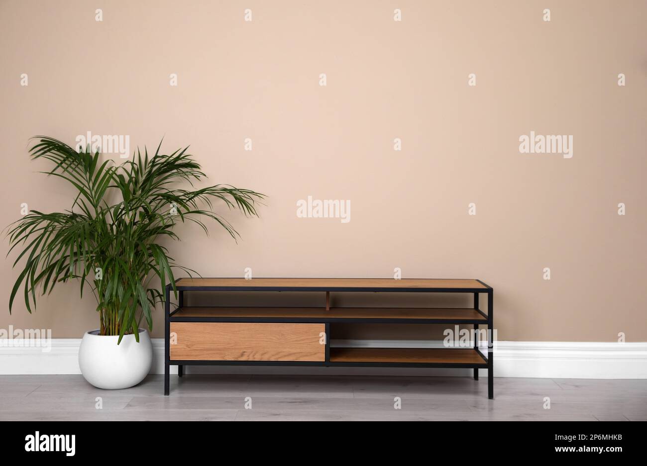 Modern TV cabinet and houseplant near beige wall. Space for design Stock Photo