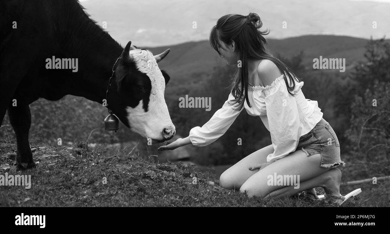 Happy woman feeding cow. Girl feeding black and white cow on meadow. Vegan, vegetarian concept. Take in veggie. Healthy lifestyle, organic field milka Stock Photo