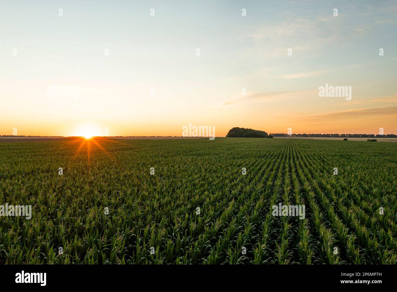 Aerial view of agricultural field at sunrise Stock Photo - Alamy