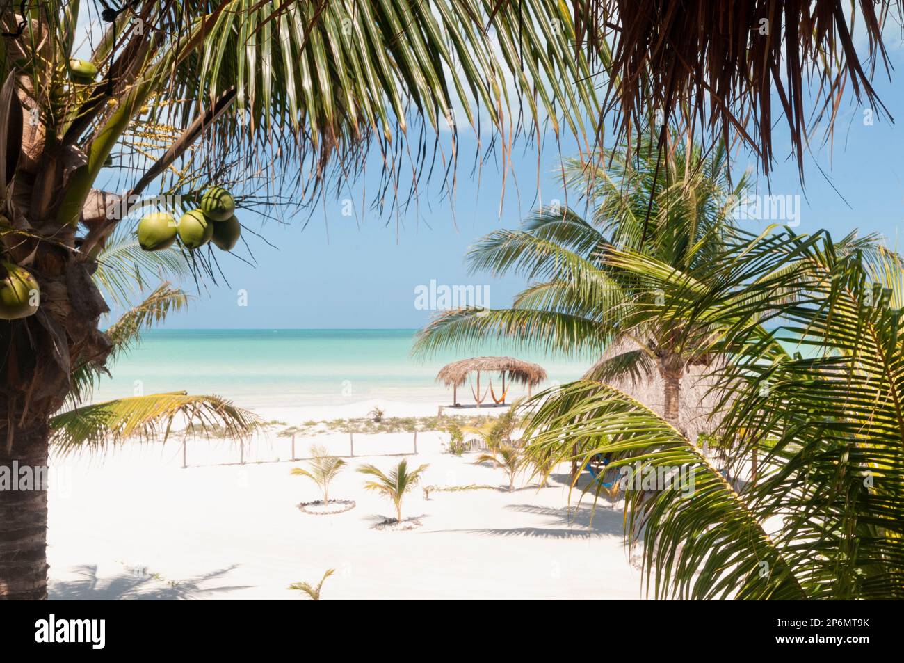 View of a tropical paradise beach of white sand and crystal clear sea with hut and hammocks by the sea on Holbox Island in Mexico Stock Photo