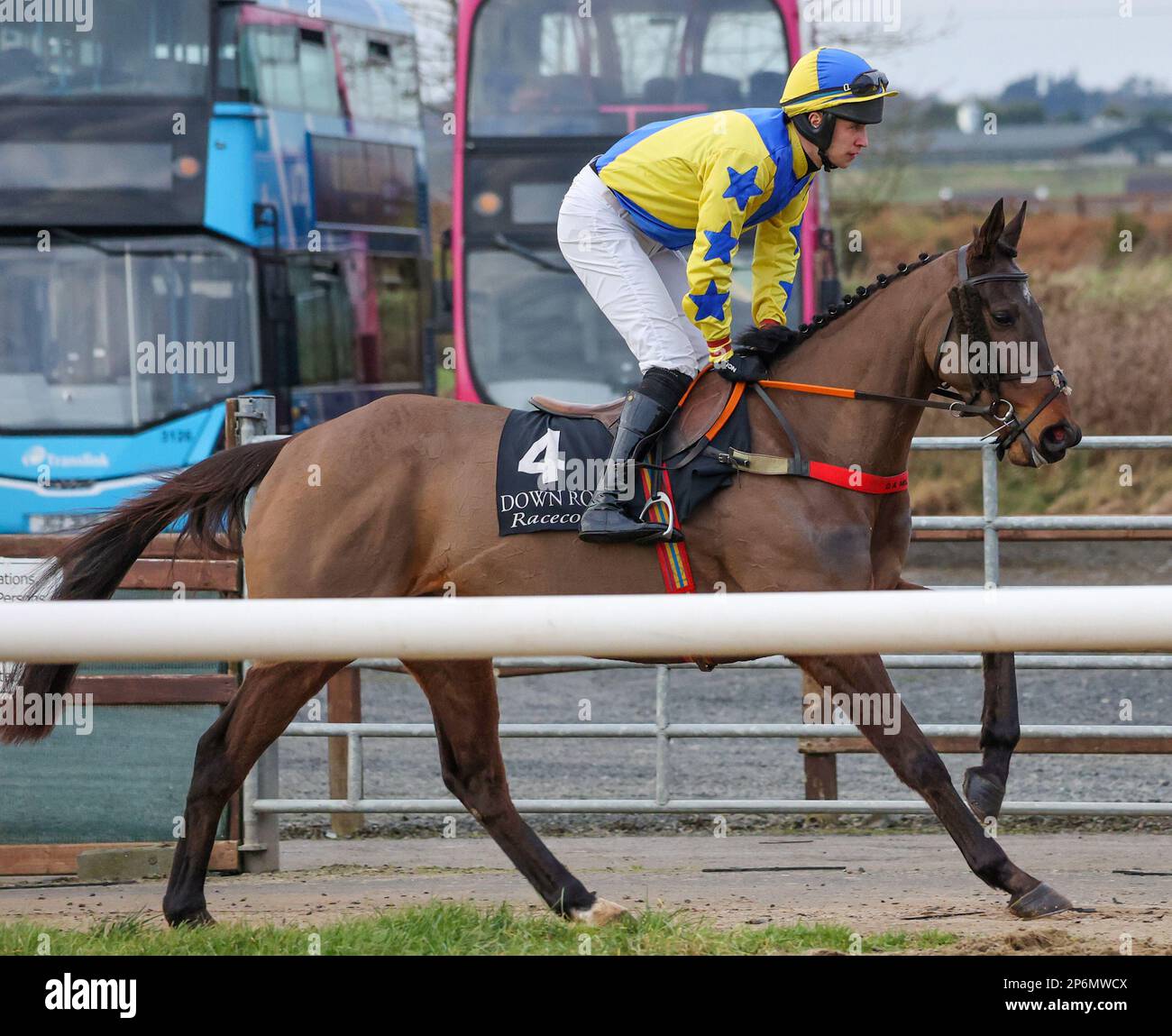 2023 Down Royal Racecourse Lisburn Northern Ireland. 24 January 2023