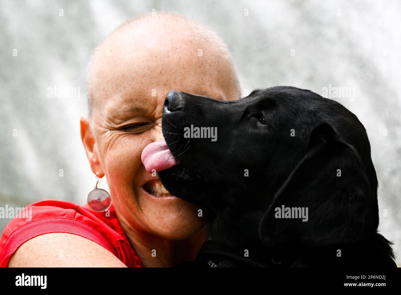 Labor member for Dunkley Peta Murphy cuddles a Labrador puppy trained
