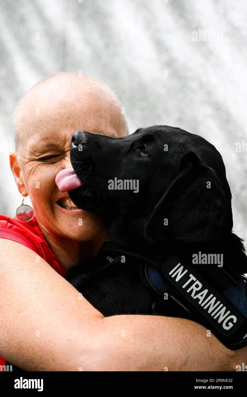 Labor member for Dunkley Peta Murphy cuddles a Labrador puppy trained