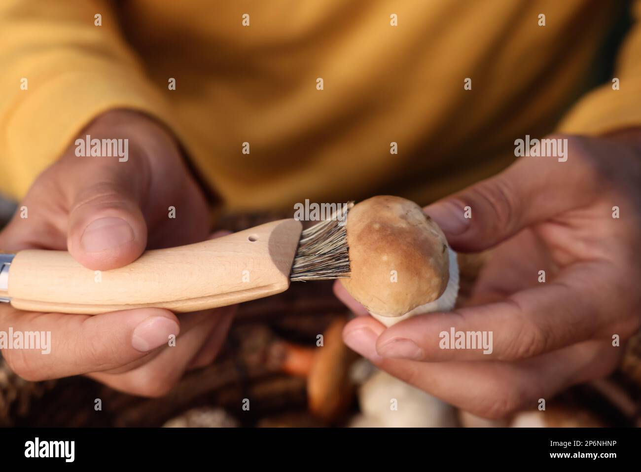 Brush for cleaning mushrooms hi-res stock photography and images - Alamy