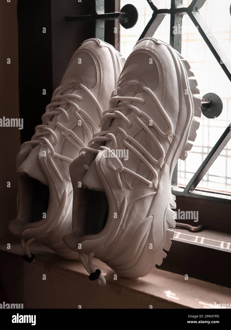 clean white sports running track shoes with unique shoelace design kept ...