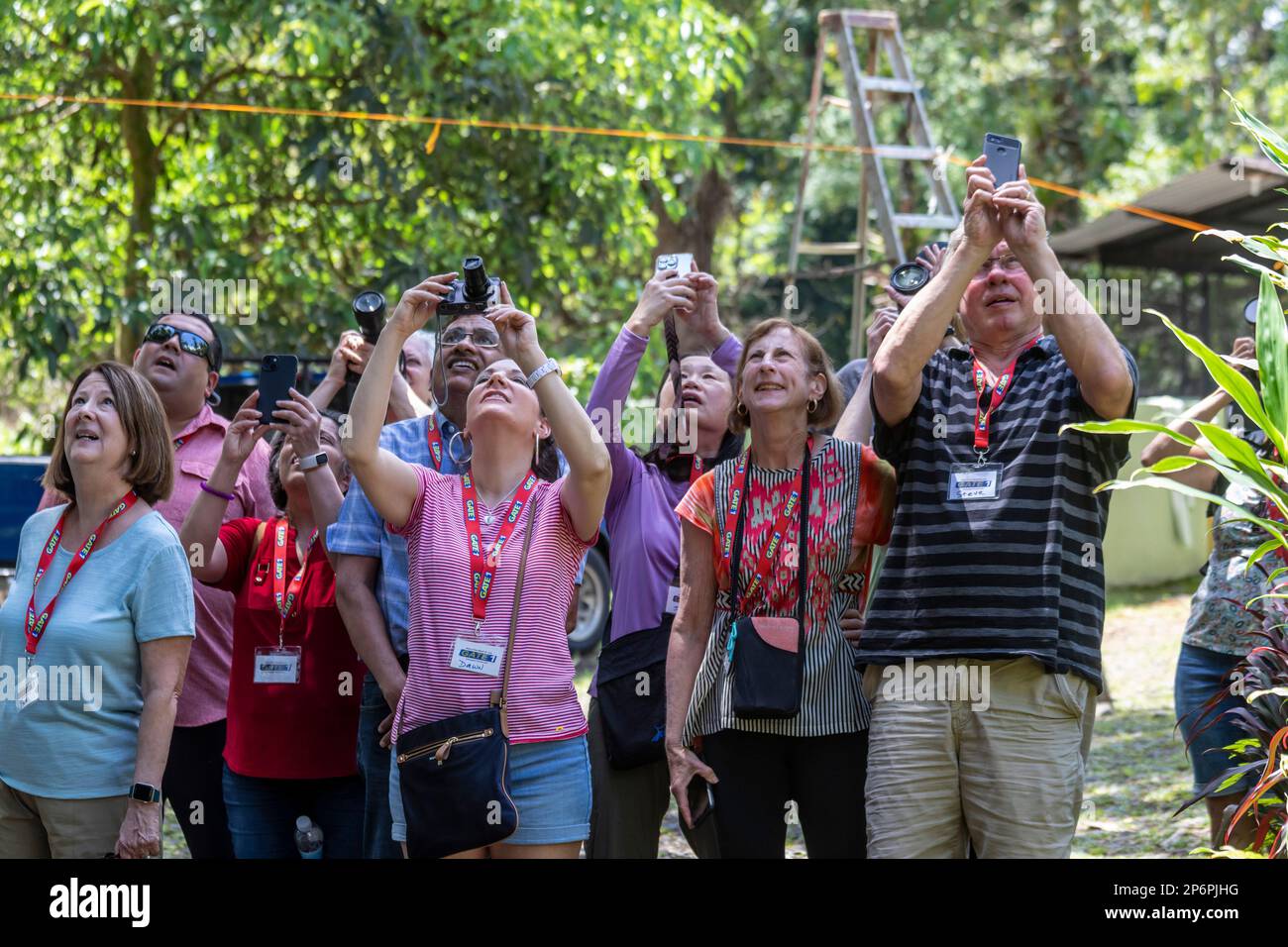 Guapiles, Costa Rica - Tourists watching and photographing a three-toed sloth high in a tree. Stock Photo