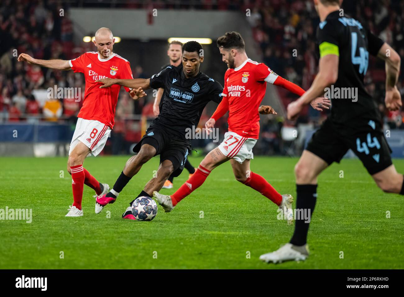 Jogo em Direto Benfica Club Brugge Champions - SL Benfica