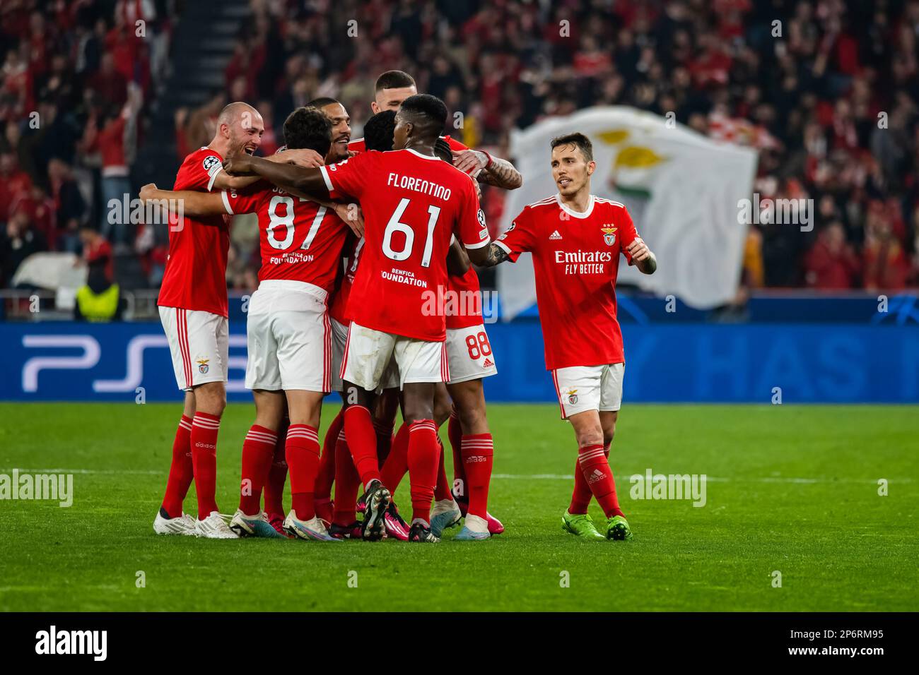 Live Match Club Brugge Benfica Champions League - SL Benfica