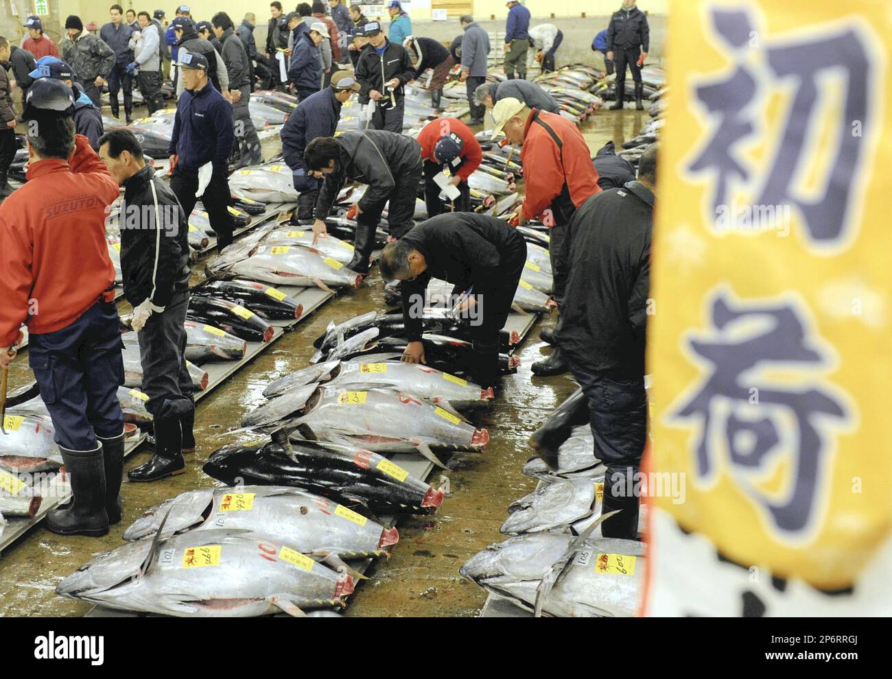 The first tuna auction of the New Year launches at the Tsukiji