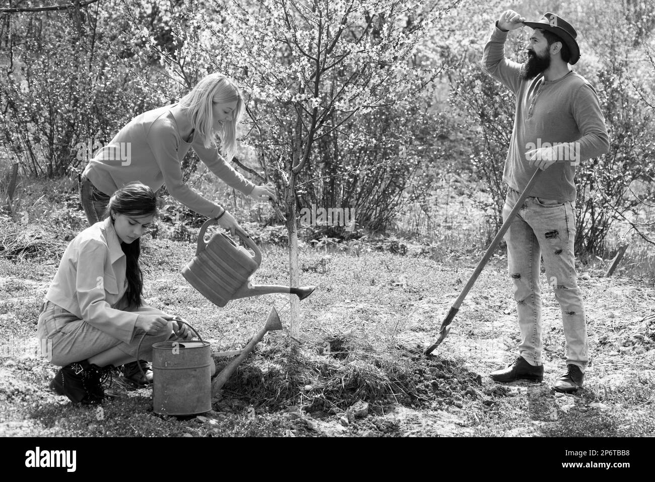 Plant a tree. A group of friends enjoy the spring nature and take care of the plants. Girl