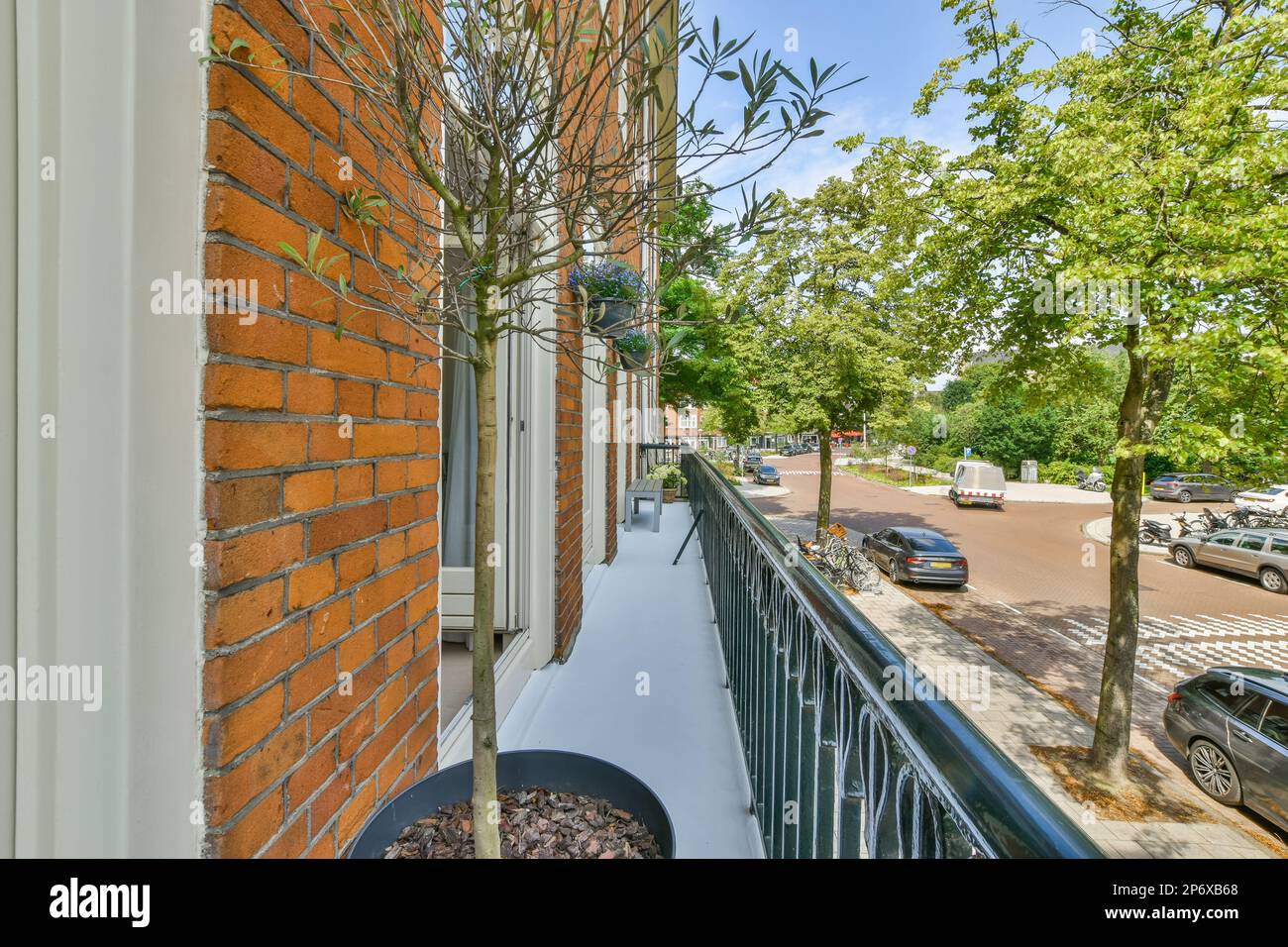 a tree growing on the side of a building in front of a street with cars parked by it and buildings Stock Photo