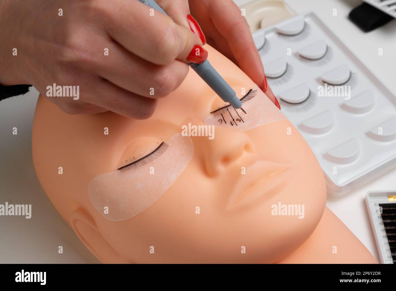 Basic training to build eyelashes on a silicone mannequin. Eyelash ...