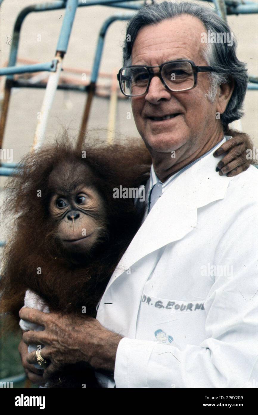 Dr. Geoffrey H. Bourne with a chimpanzee, Yerkes Regional Primate