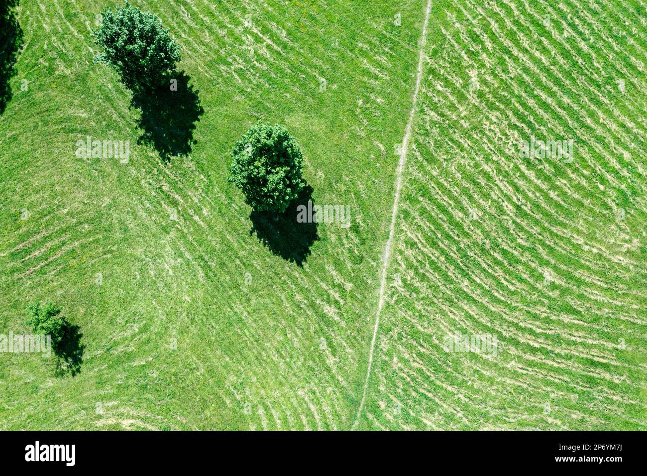 footpath through beveled green lawn with trees. aerial top view with drone. Stock Photo