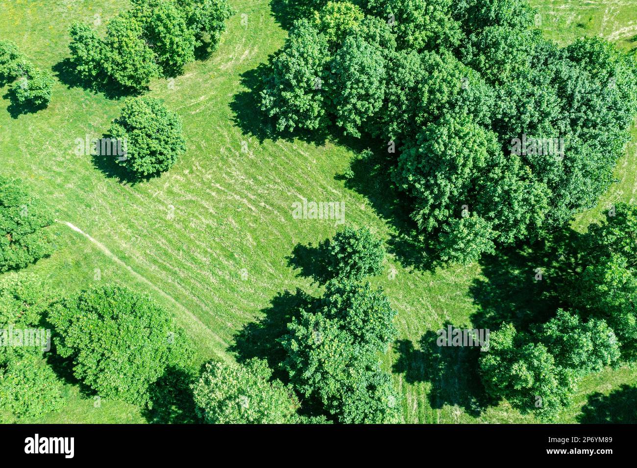 aerial view of public summer park with green trees and cut lawn. drone point view. Stock Photo