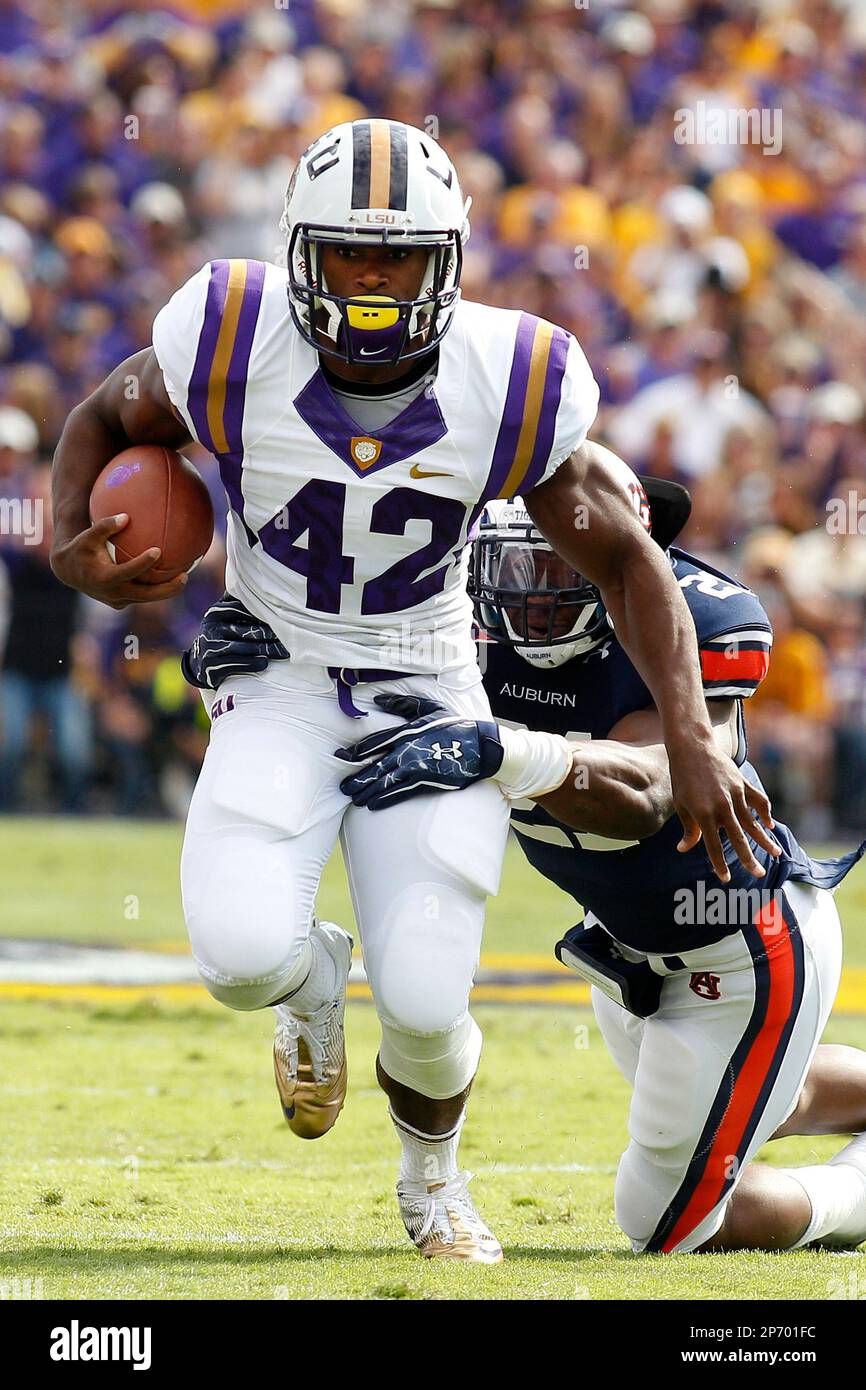 Michael Ford, LSU, Running Back