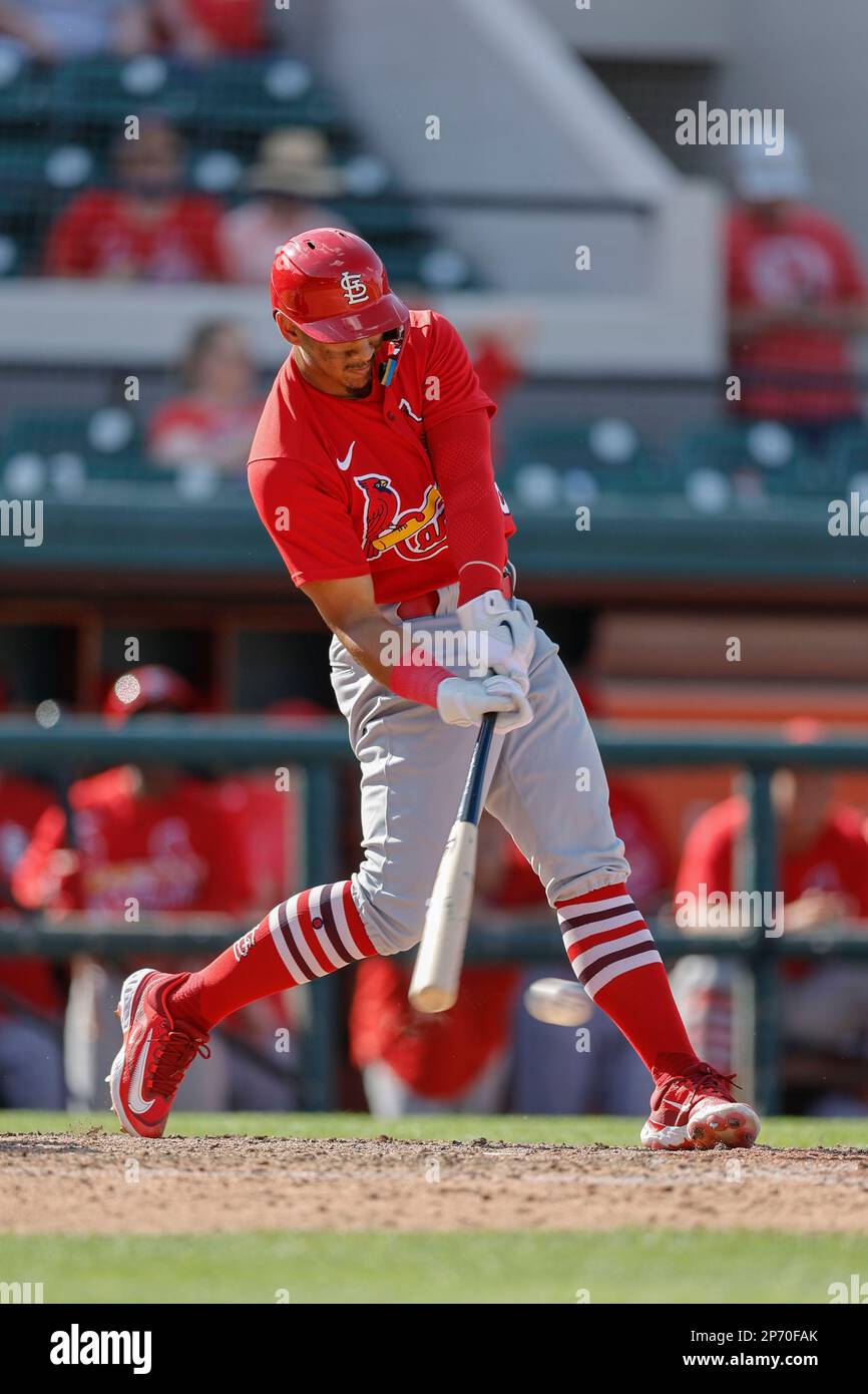 St. Louis Cardinals Spring Training Jersey - Jeremy Hazelbaker