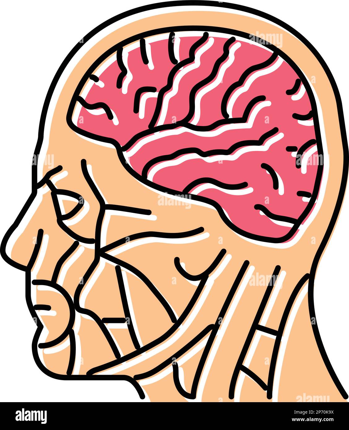 head brain human color icon vector illustration Stock Vector Image ...