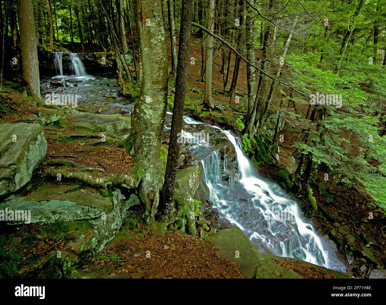Dutchman Falls, also known as Amber Falls, in Loyalsock State Forest, Pennsylvania Stock Photo