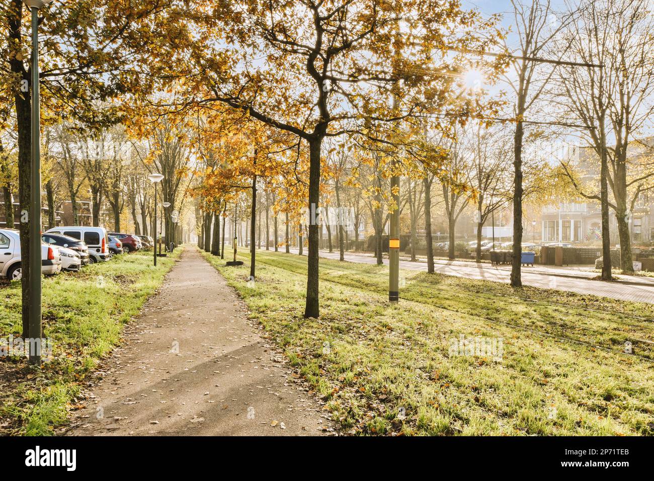 a park with cars parked on the side and trees that are turning to ...