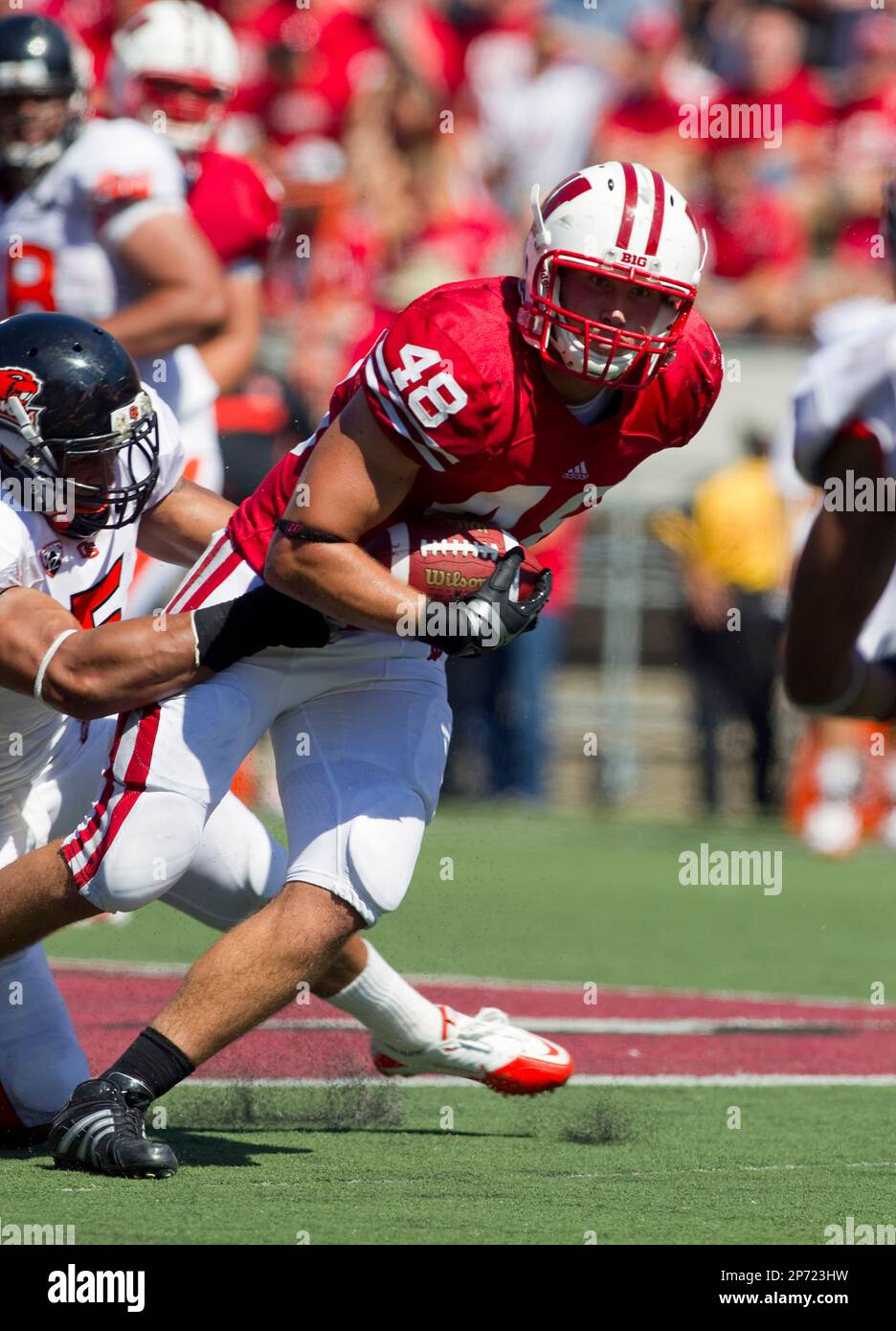 Wisconsin Badgers tight end Jacob Pedersen (48) carries the ball during ...
