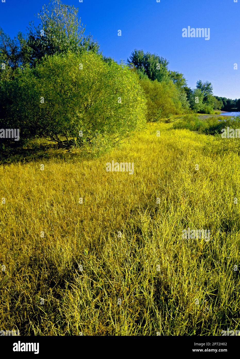 The Lake Marburg shoreline at Cordorus State Park, York County, Pennsylvania Stock Photo