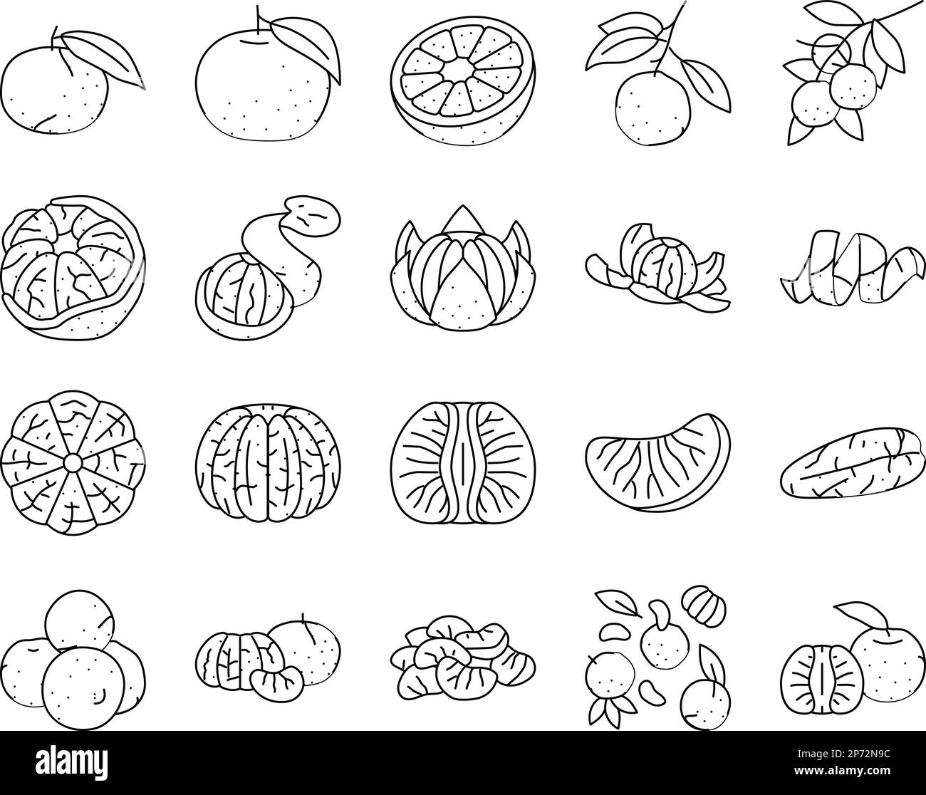 mandarin clementine orange fruit icons set vector Stock Vector Image ...