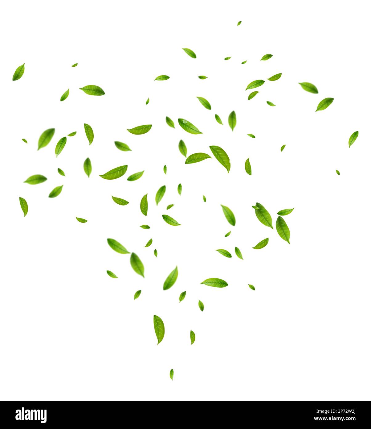 Realistic green tea leaves in motion Stock Vector Image & Art Alamy