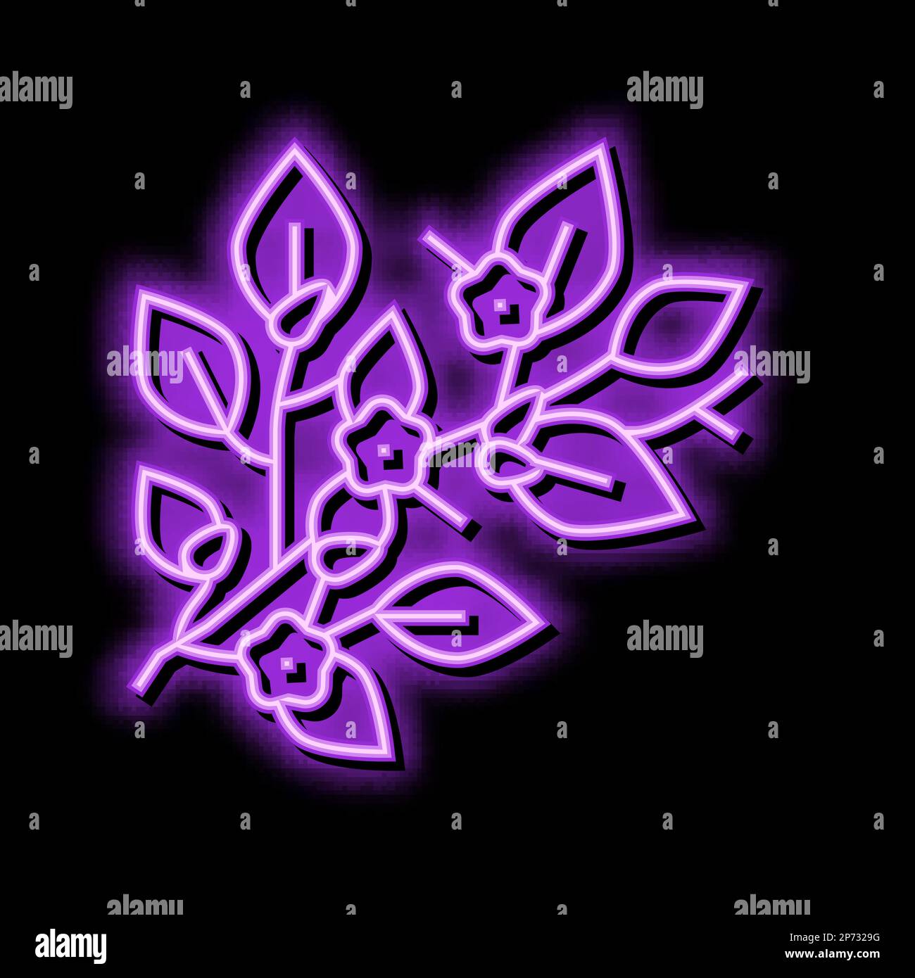 bloom spring neon glow icon illustration Stock Vector Image & Art - Alamy