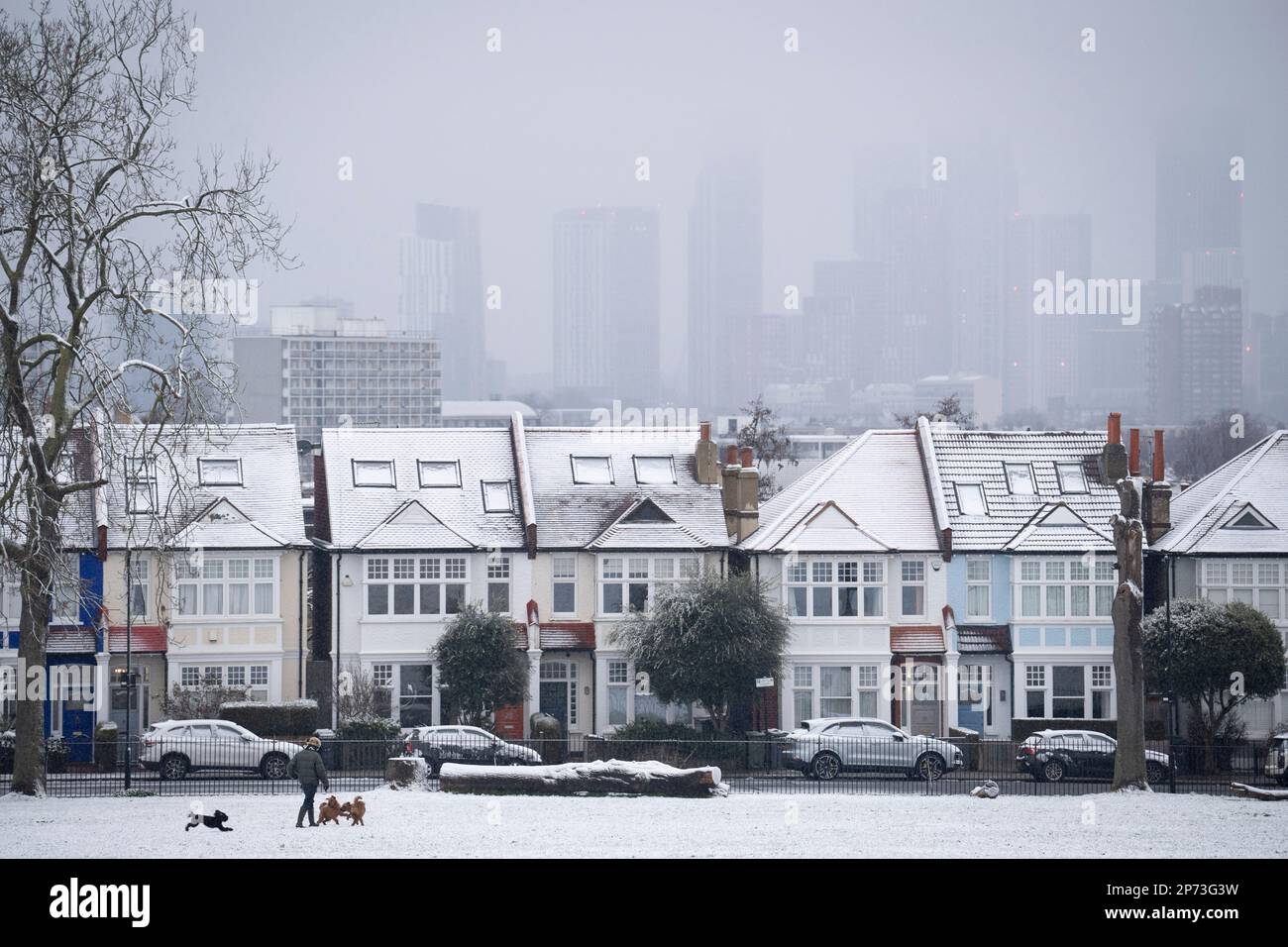 As March snow falls on south London, period homes are seen with white rooftops on a street bordering Ruskin Park, a public green space in Lambeth, on 8th March 2023, in London, England. Stock Photo