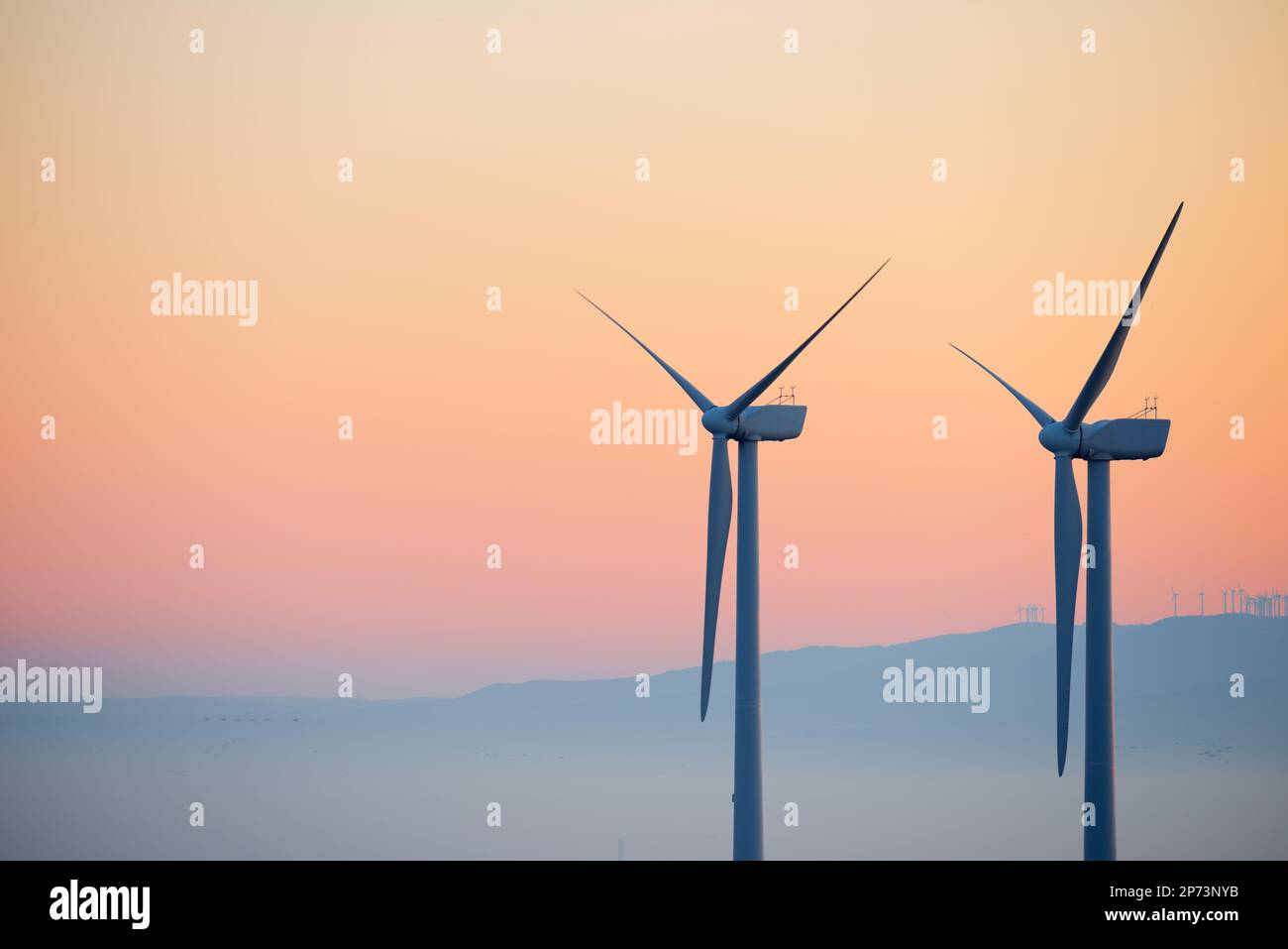 Wind turbine generators for sustainable electrical energy production at