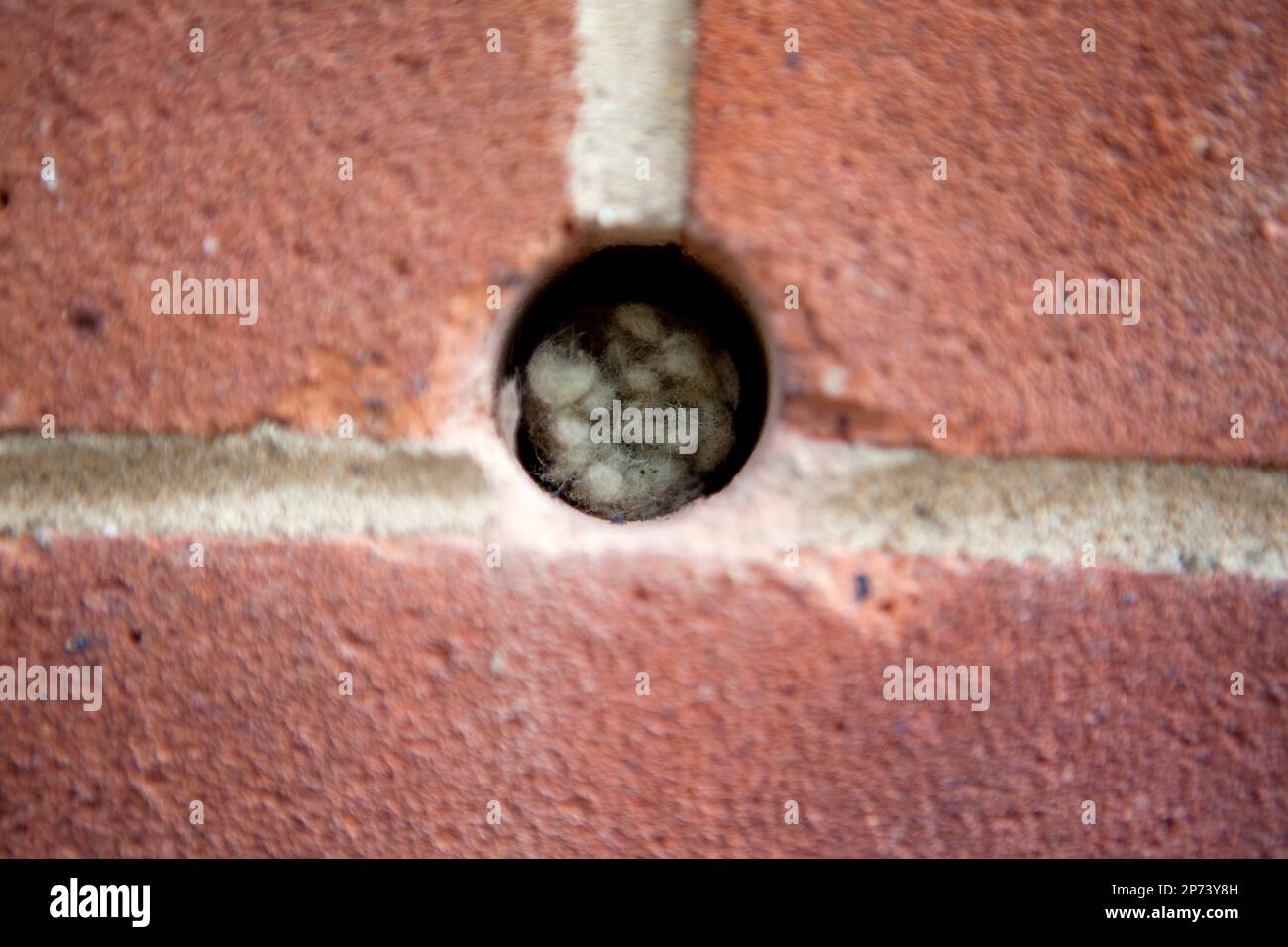 Illustrative image of cavity wall insulation. Rockwool insulation