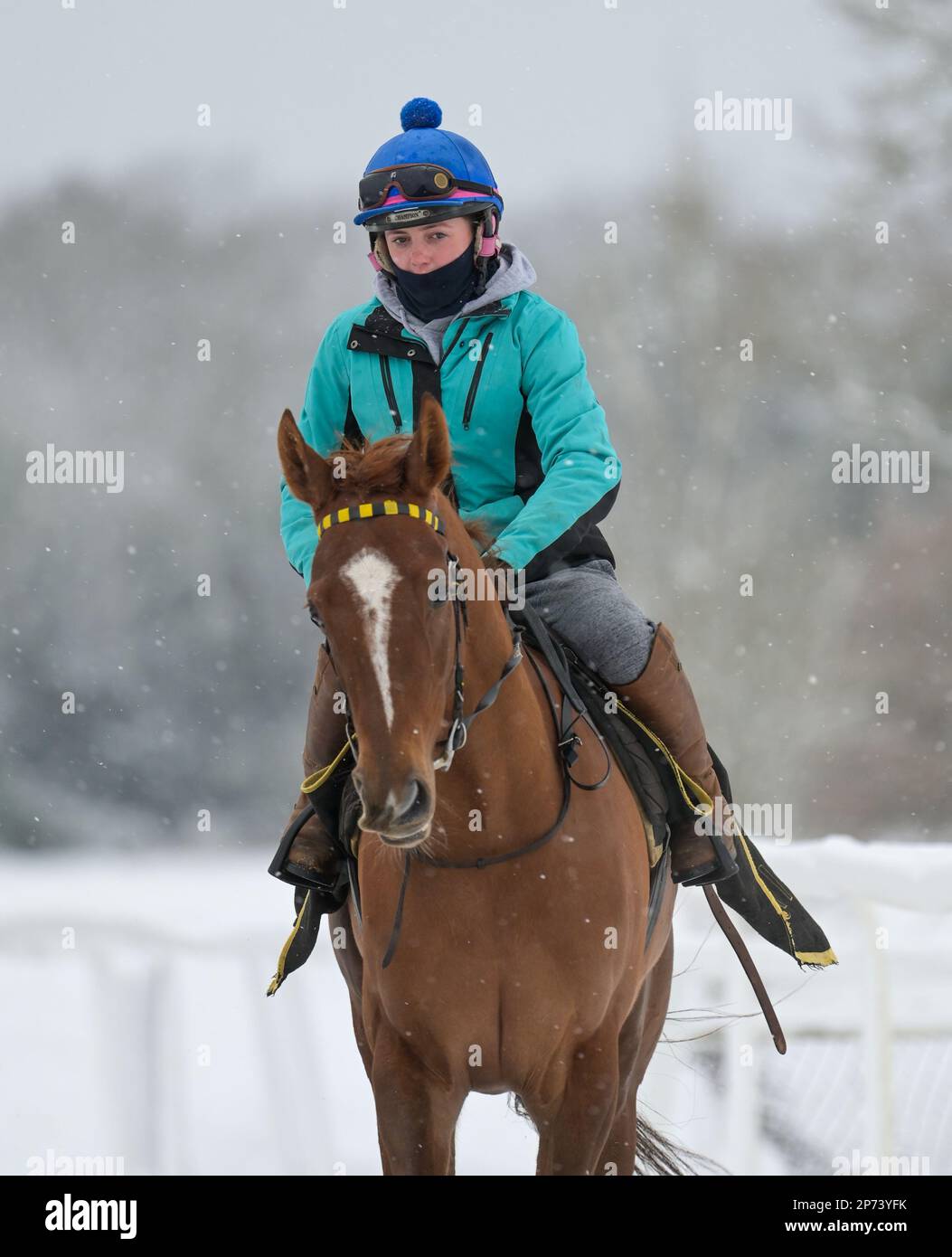 Epsom Downs, England. 8 March, 2023. Race Horses from the Epsom Stables