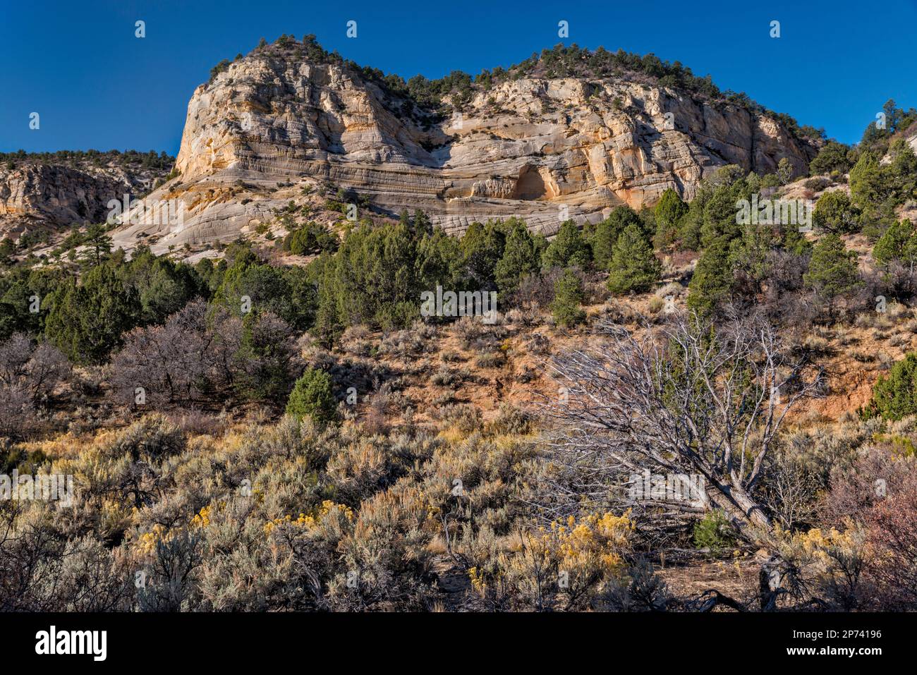 Cliffs at Johnson Canyon Road (BLM501), Skutumpah Terrace, Kanab Plateau, Grand Staircase Escalante National Monument, Utah, USA Stock Photo