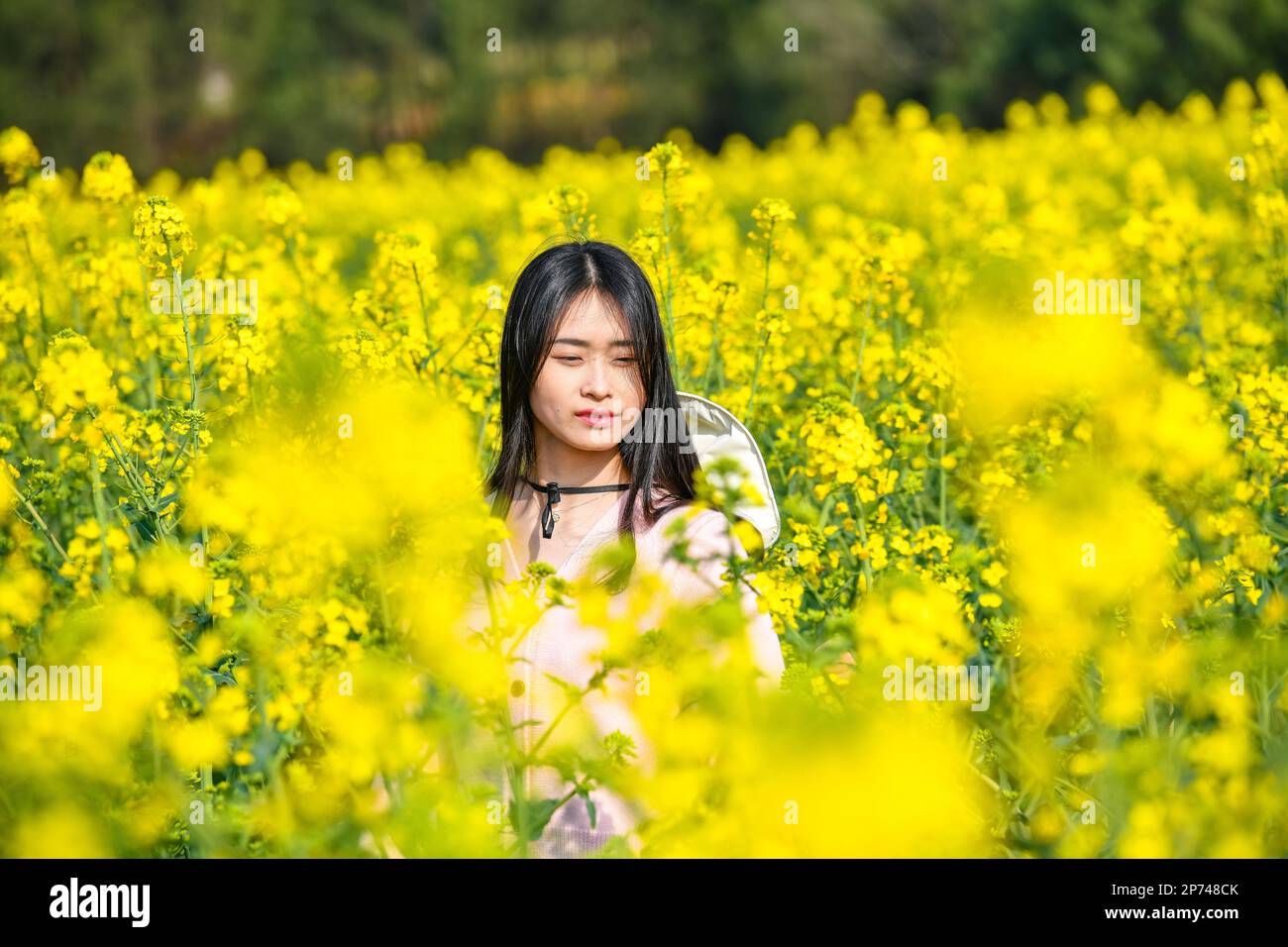BAZHONG, CHINA - MARCH 7, 2023 - A tourist enjoys rapeseed flowers in full bloom in Bazhong city, Southwest China's Sichuan province, March 7, 2023. Stock Photo