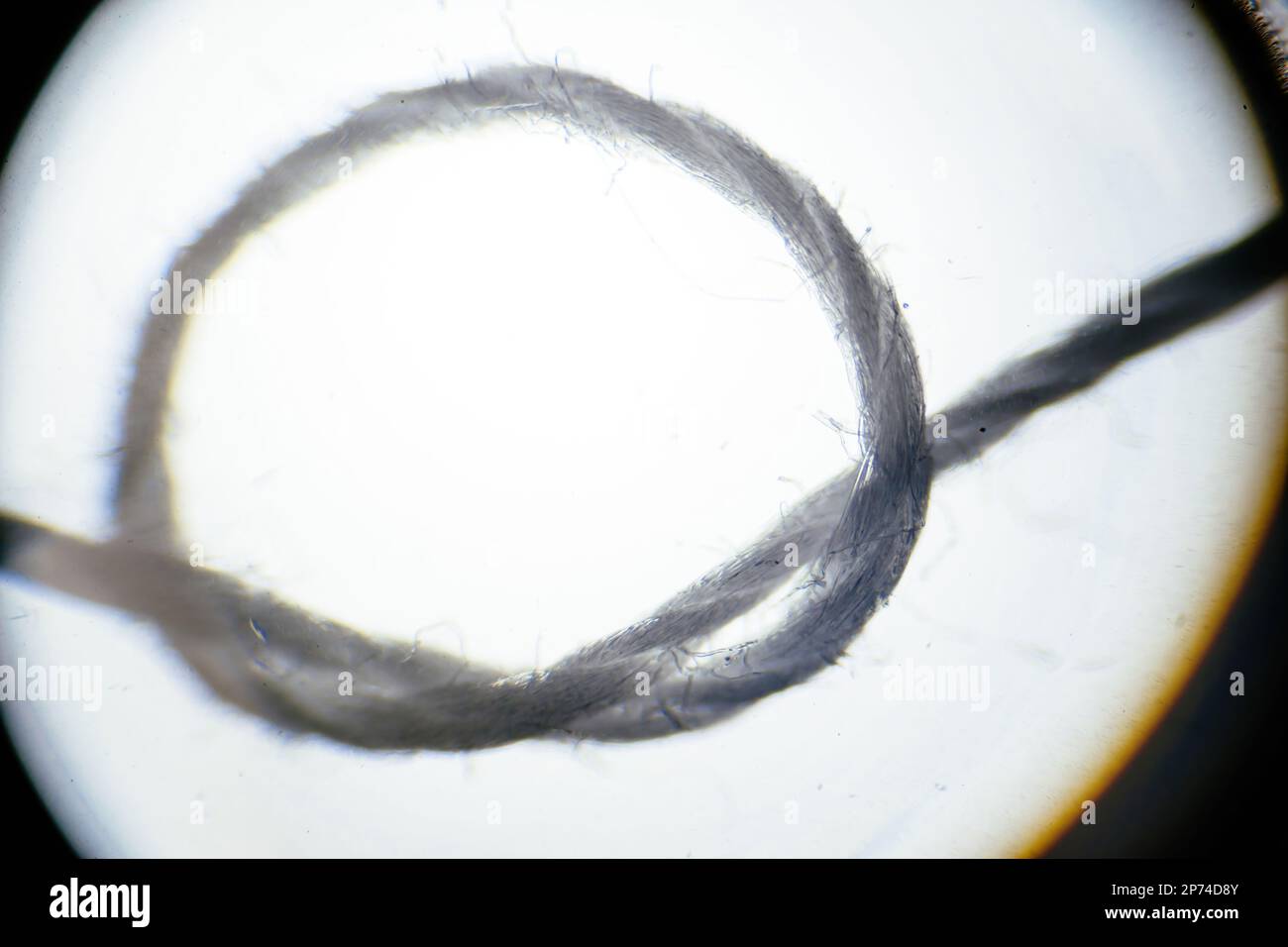 Close-up macro ultra microscopic detail of a sewing thread seen through ...