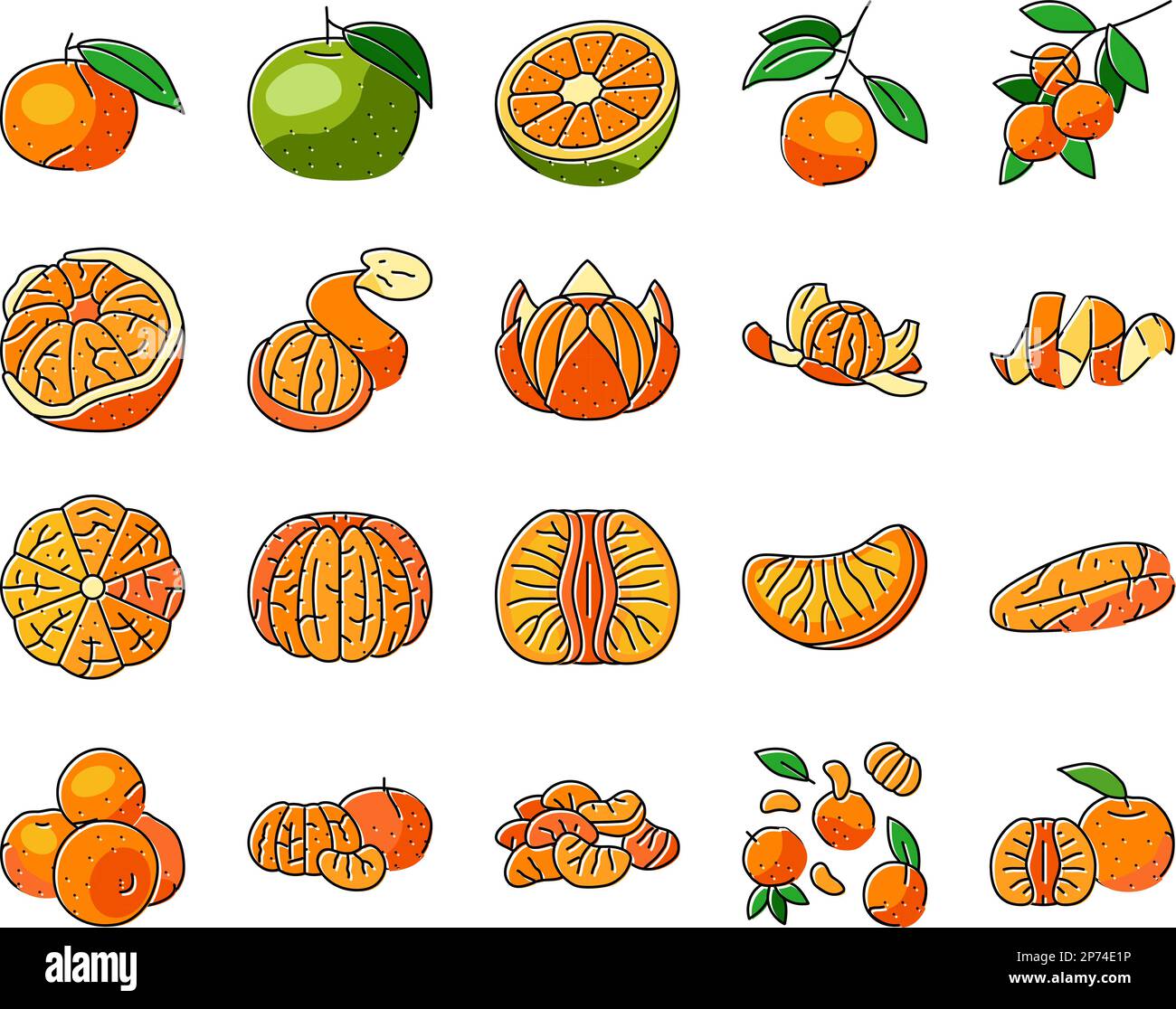 mandarin clementine orange fruit icons set vector Stock Vector Image ...