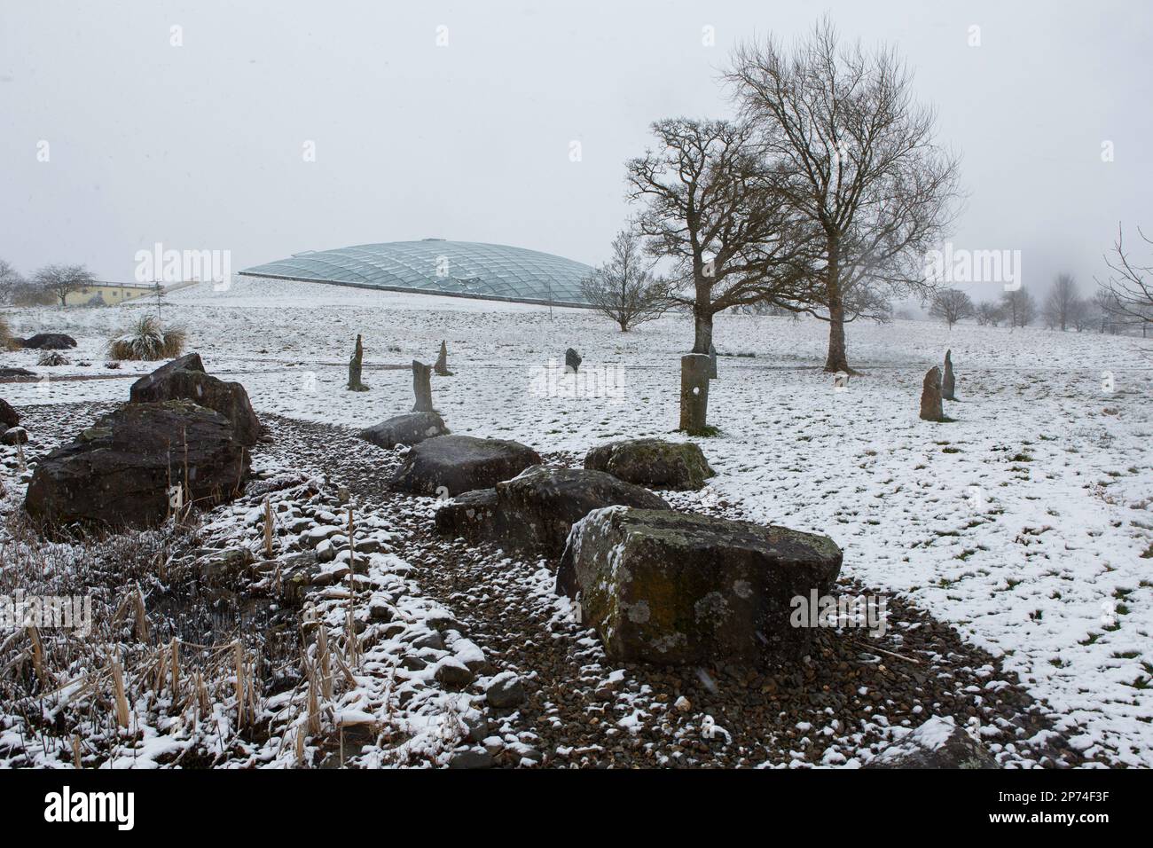 Llanarthne, Carmarthenshire, Wales. 8th March 2023. Snow falls in the National Botanic Garden of