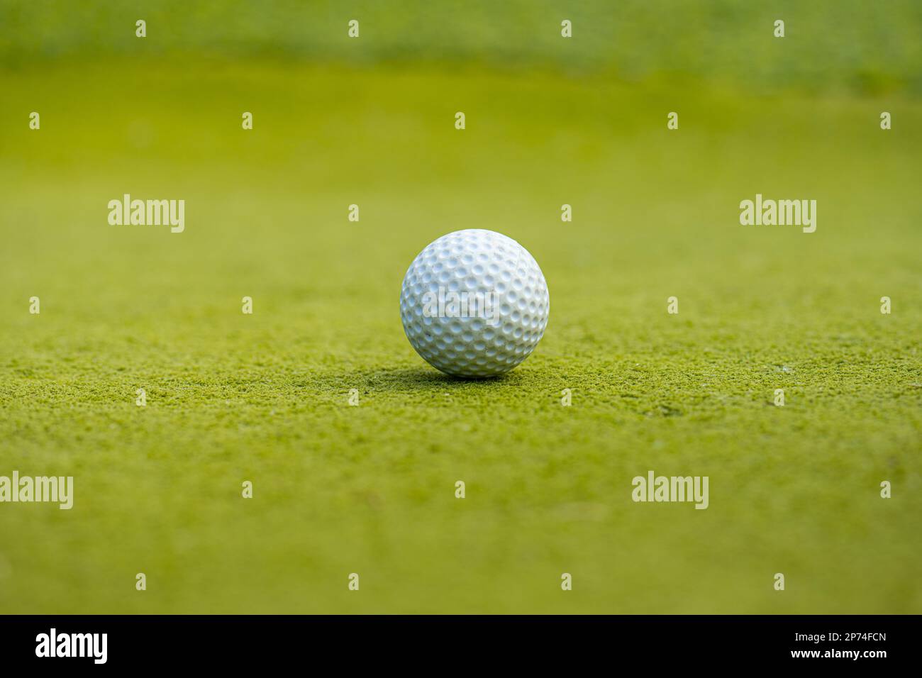 White golf ball on green fake grass Stock Photo Alamy