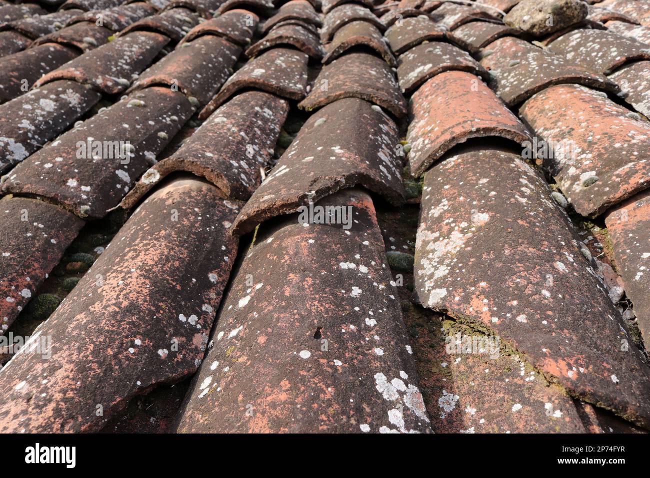 tiles on the roof of an old village house Stock Photo