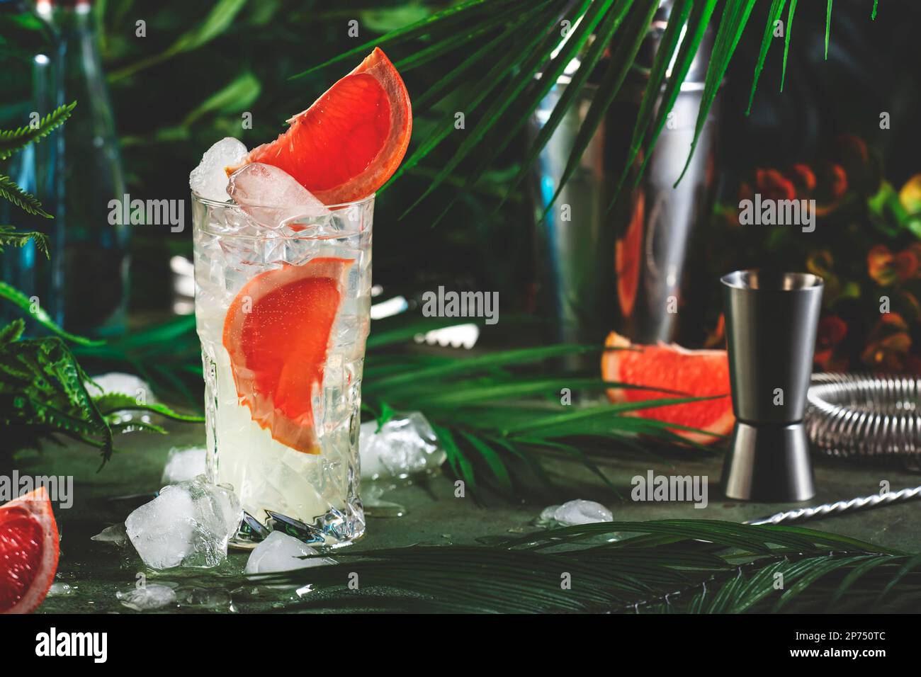 Gin bitter grapefruit long drink cocktail with dry gin, tonic, and ice