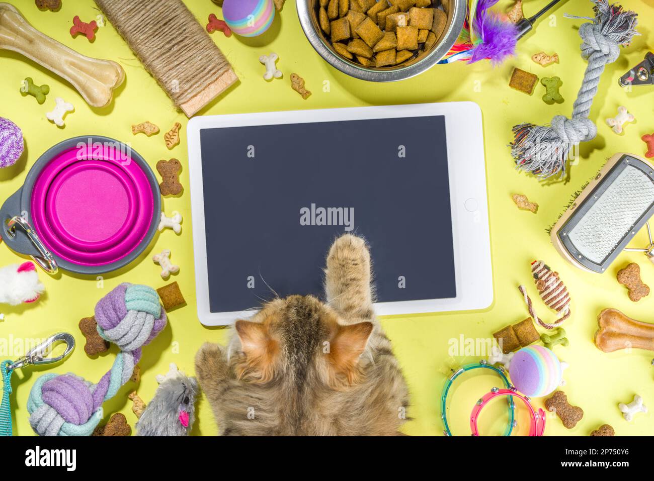 Pet food and accessories, various cat, dog, domestic animals food, toys