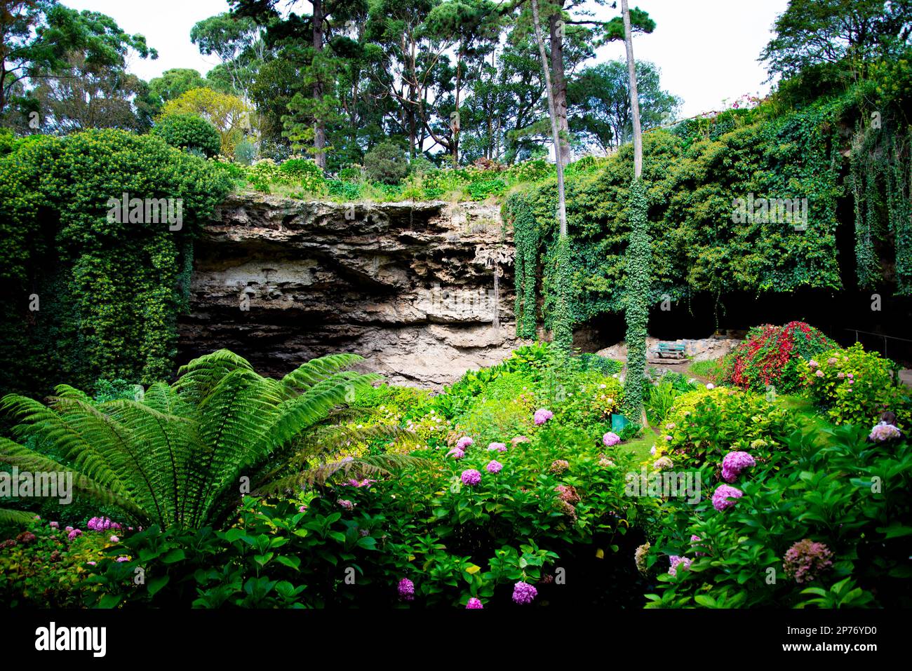Umpherston Sinkhole Mount Gambier Australia Stock Photo Alamy