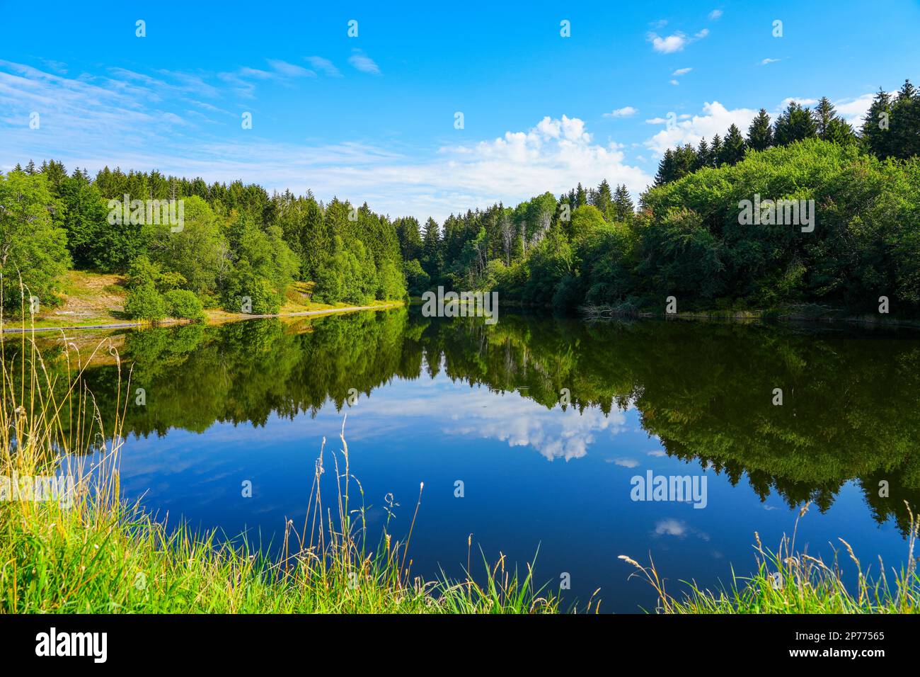 Landscape at the Unterer Eschenbacher Teich. Nature at the lake near